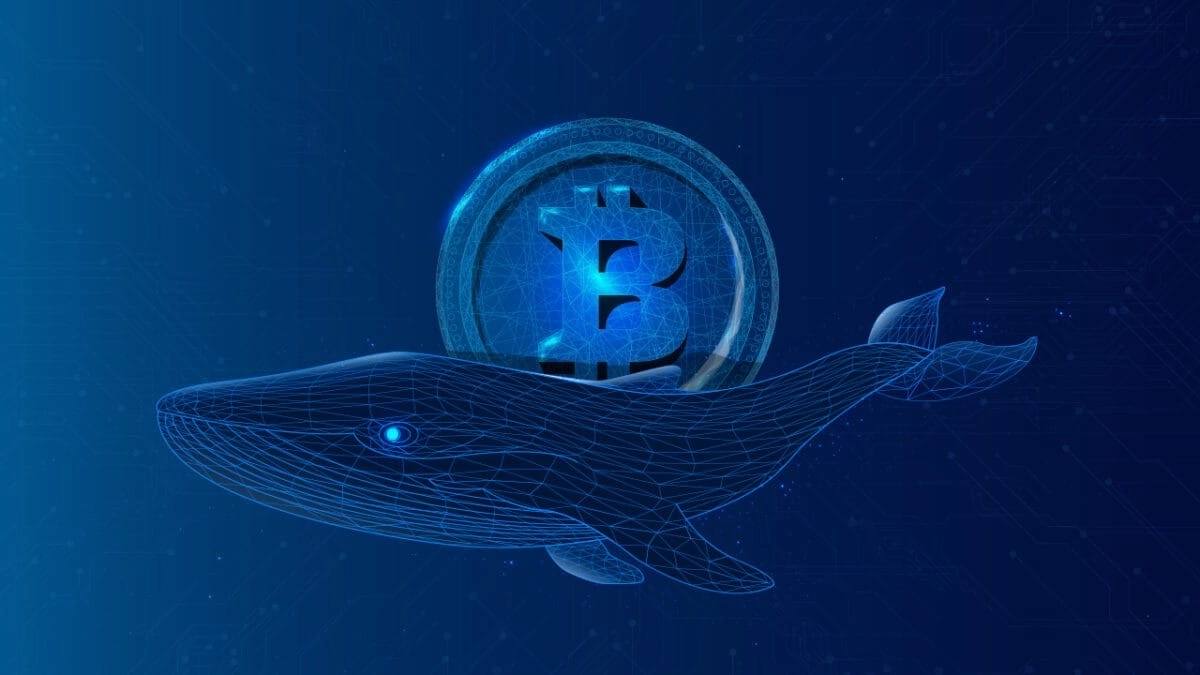 Crypto Whales Do the Same