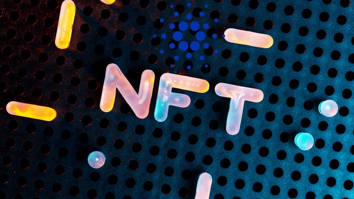 General Patterns in the NFT Market