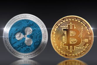 Ripple CEO Allege