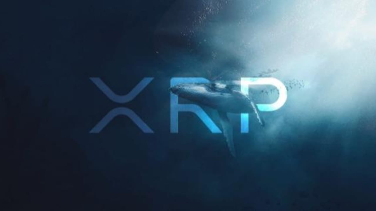 Whale Move Fuels XRP Surge