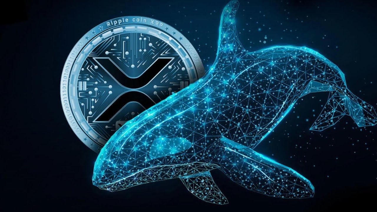 Whale Moves Propel XRP