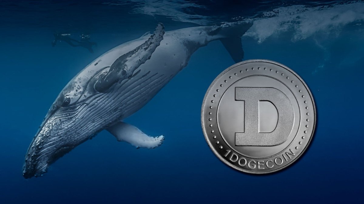 Whales Stock Up on DOGE