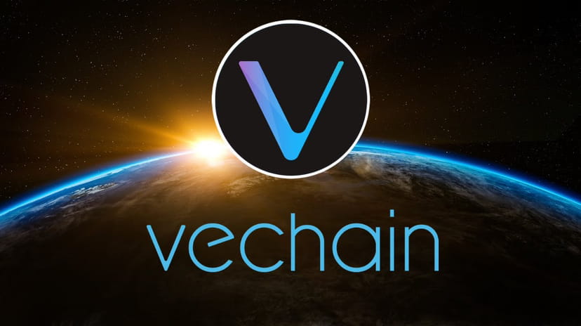 The VeChain project