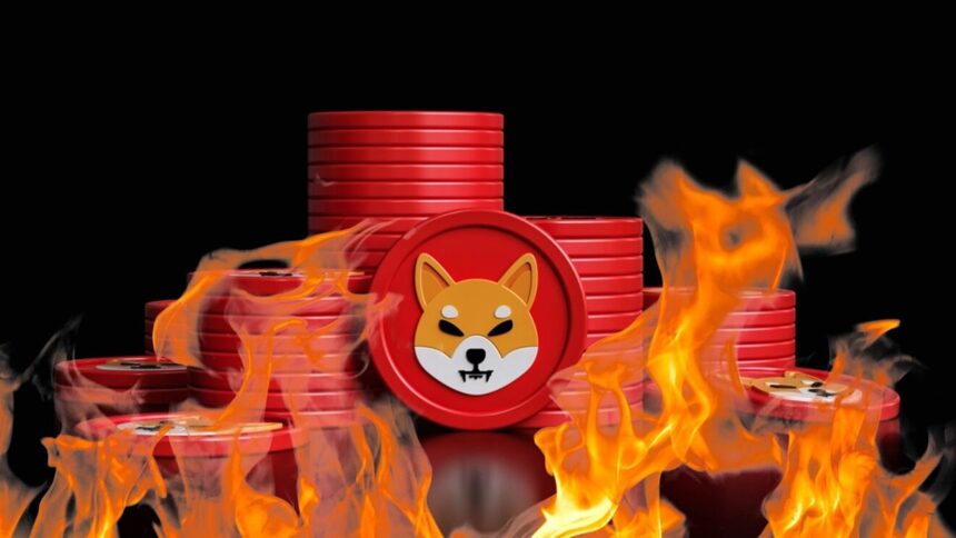 SHIB Burn