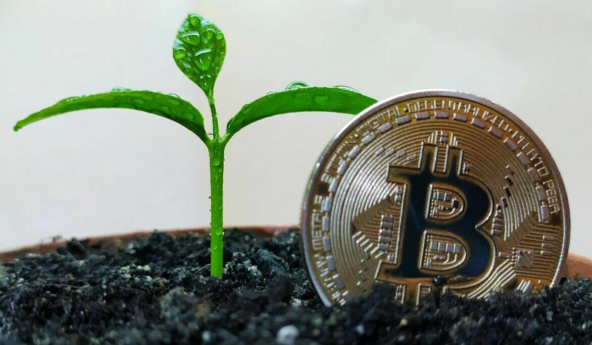 Addressing Bitcoin’s Environmental 