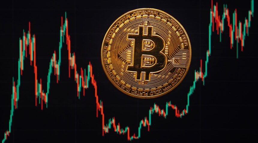 Bitcoin adoption 2025