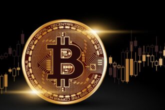 Bitcoin highest daily close