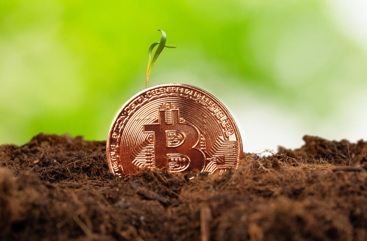 Institutional Adoption of Crypto