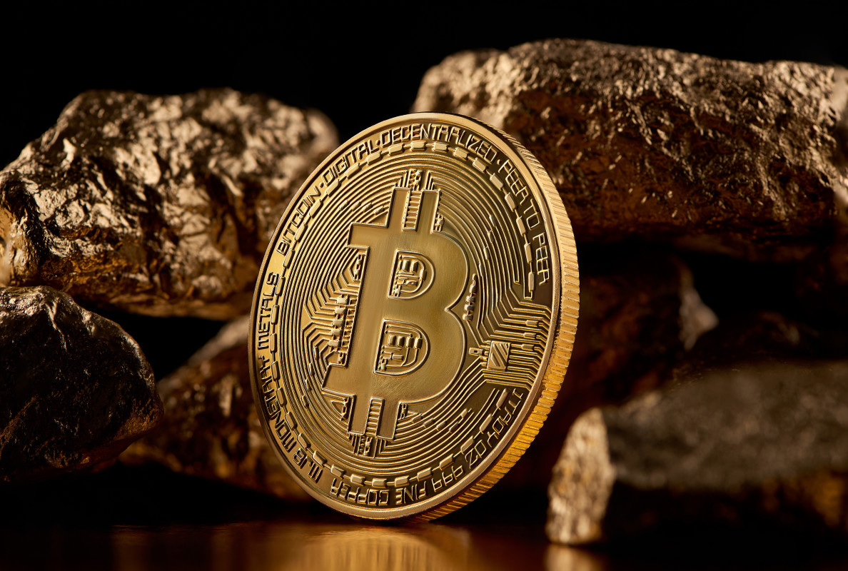 Institutional Embrace of Cryptocurrencies and Infrastructure