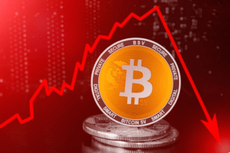 Bitcoin market 2025
