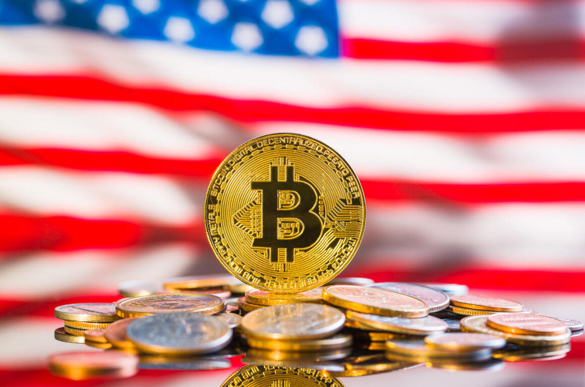Bitcoin Enters Culture and Politics