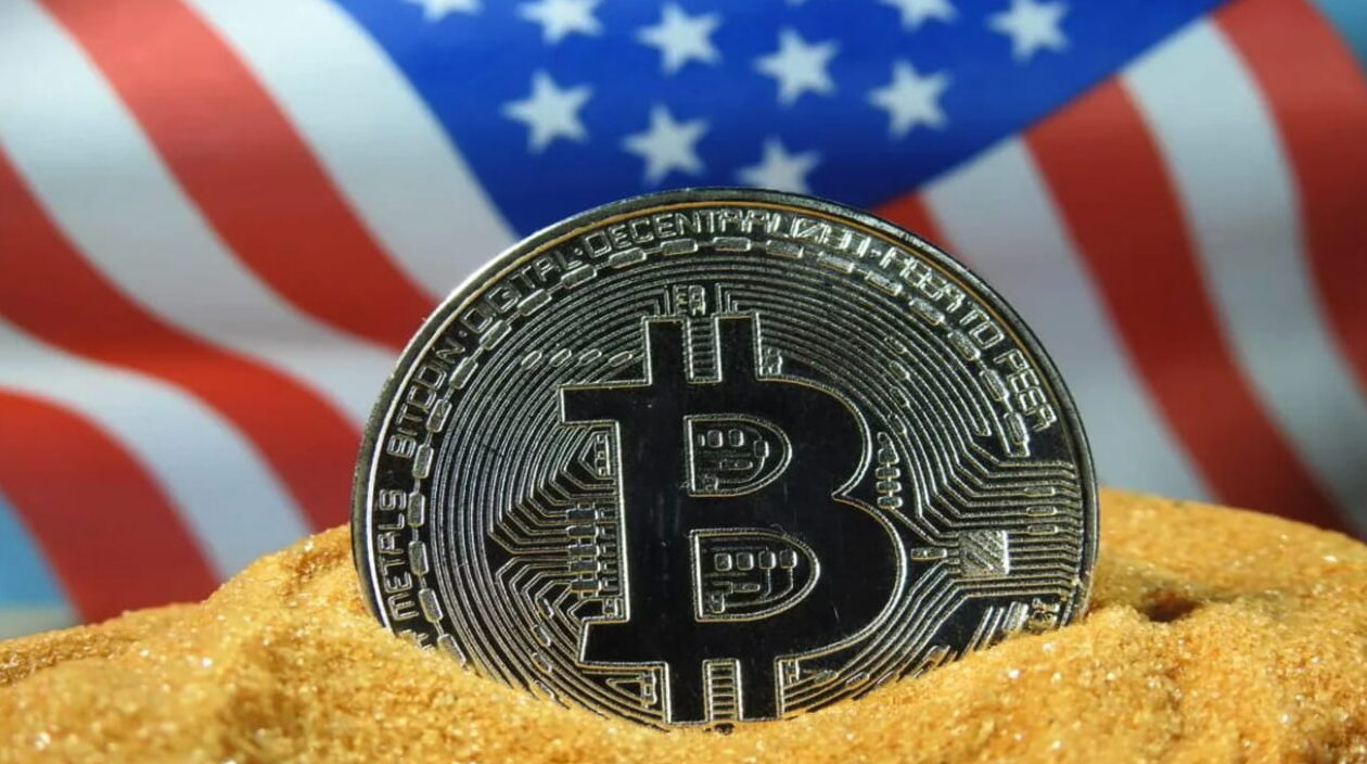 Government and Corporate Bitcoin 