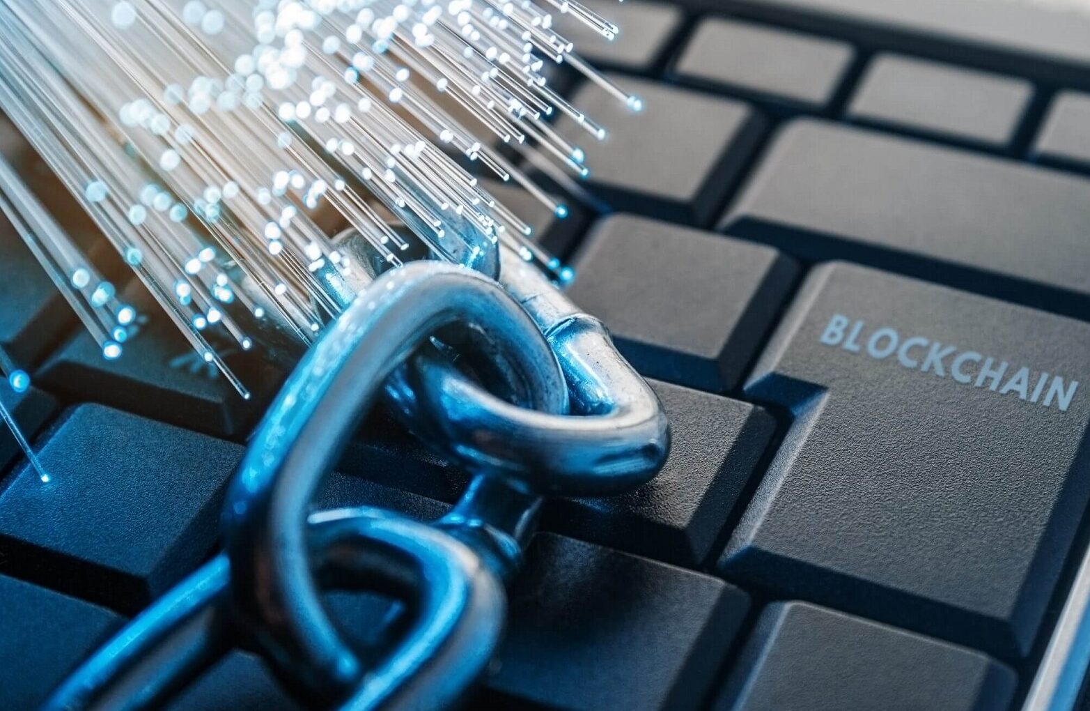 Public vs Private Blockchains