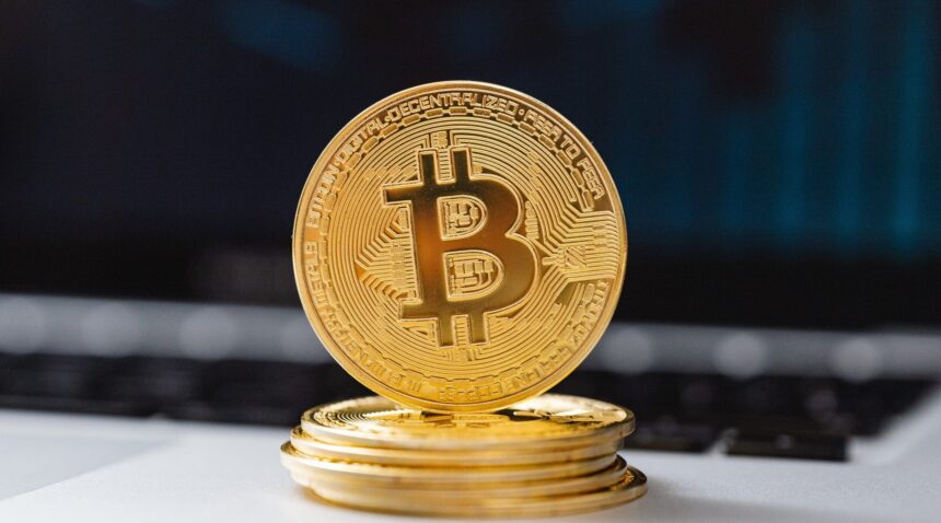 Bitcoin 2025 adoption