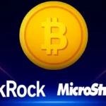 Bitcoin Whale Power: BlackRock and Strategy Control 6% of BTC