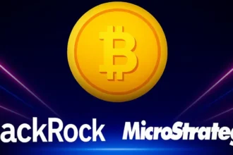 Bitcoin Whale Power: BlackRock and Strategy Control 6% of BTC