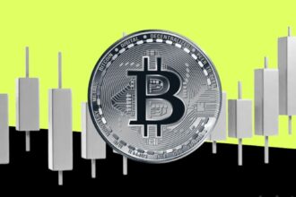 Bitcoin Price Forecast Next Month Analysis & Predictions