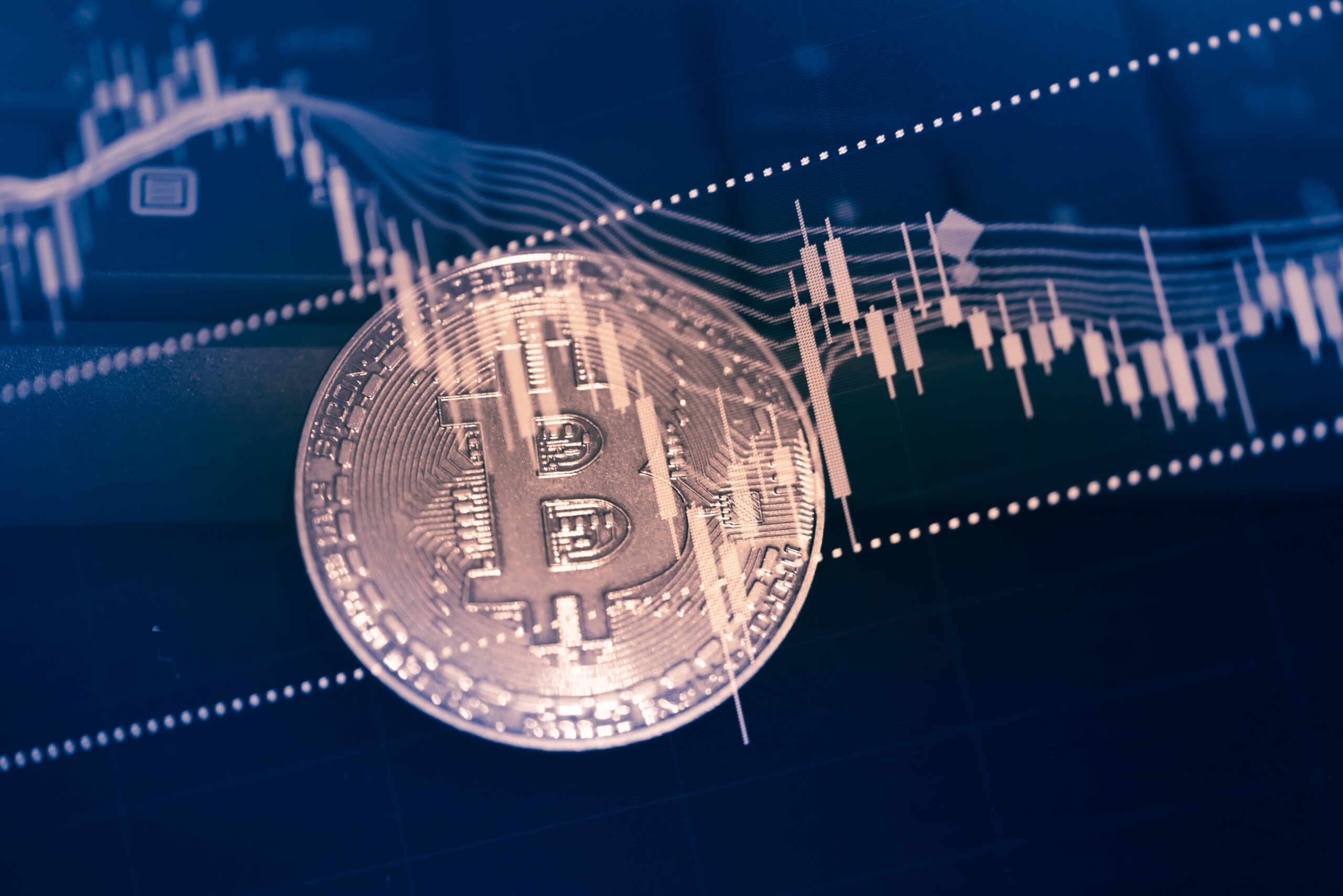 The Future of Blockchain Investment Platforms