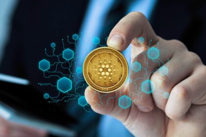 best blockchain investment platforms 2024