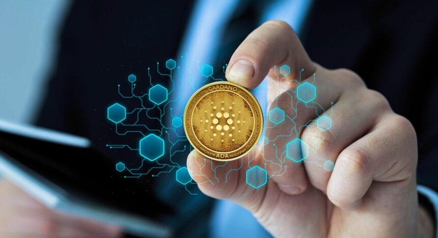 best blockchain investment platforms 2024