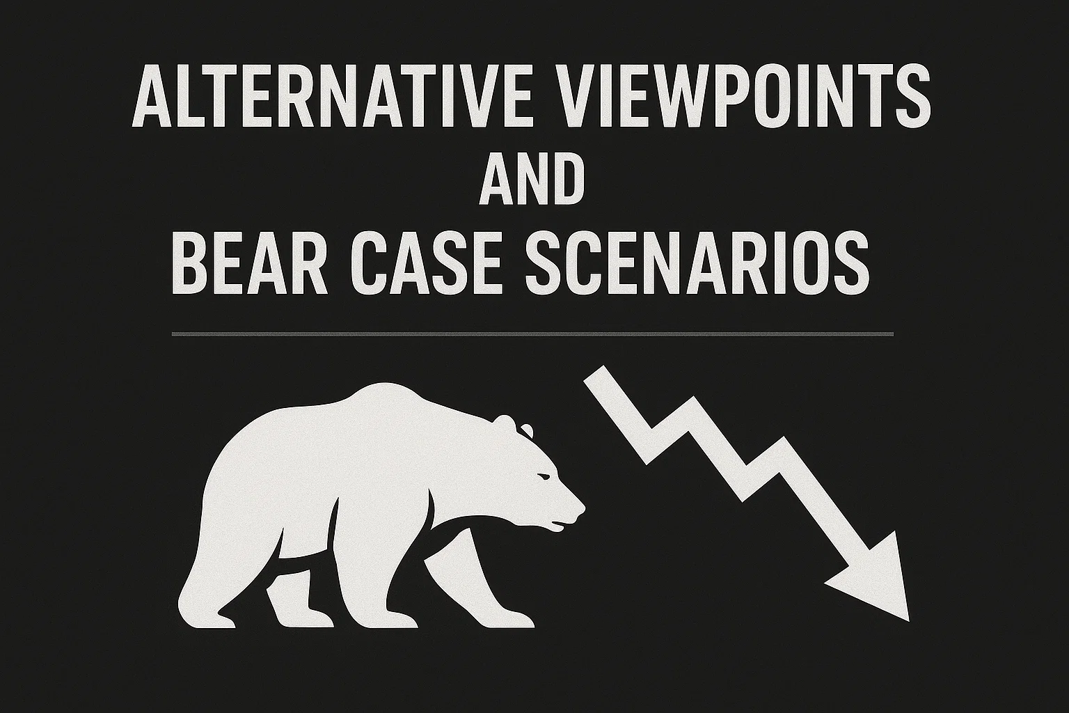 Alternative Viewpoints and Bear Case Scenarios