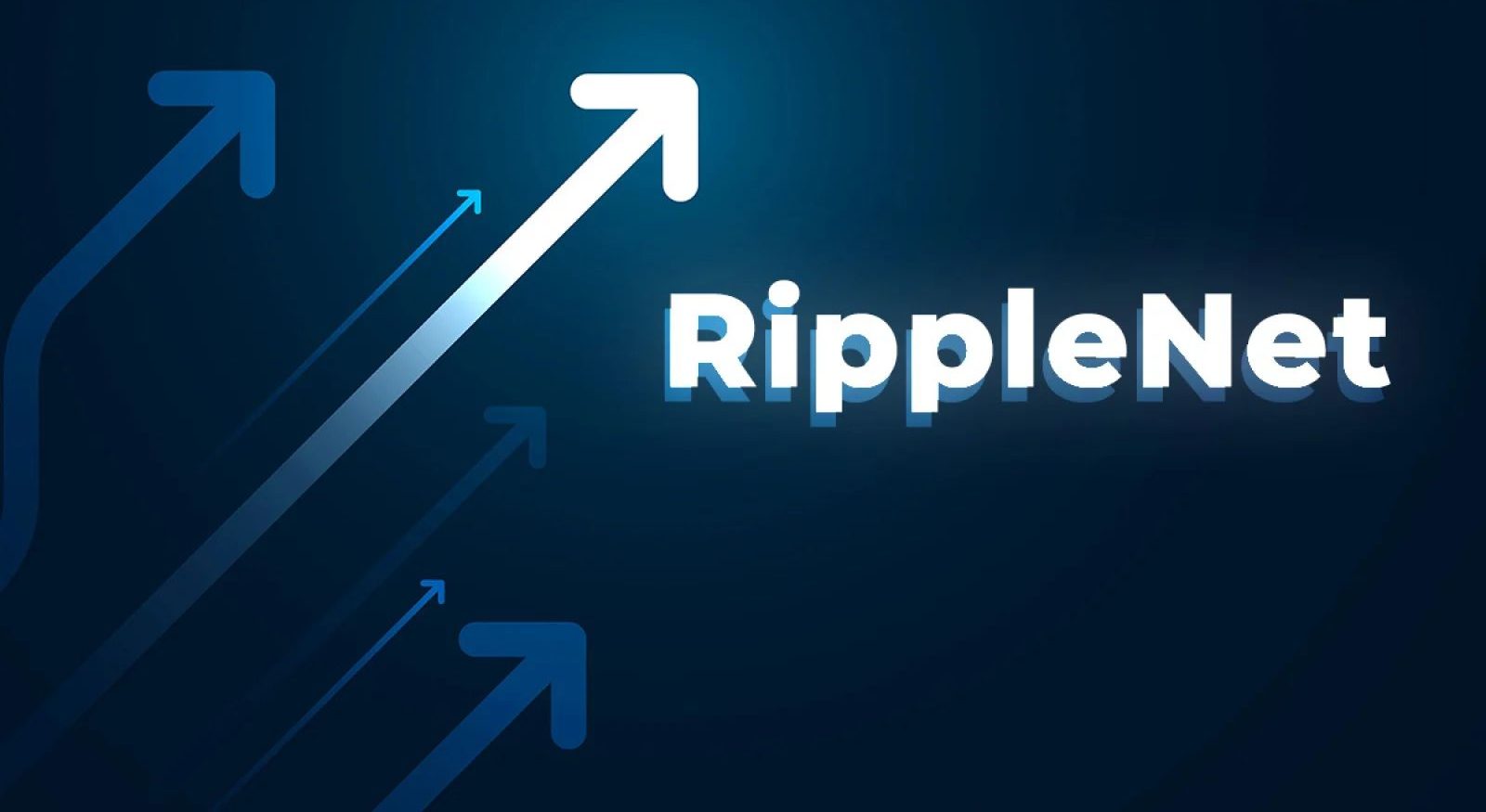 RippleNet: The Institutional Payment Network