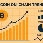 Bitcoin on-chain trends