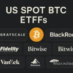 US Spot BTC ETFs
